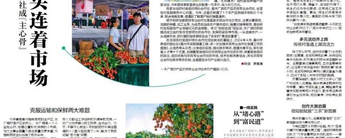 大井镇木广垌村：村党组织领办合作社成荔农“主心骨”，年产值超亿元｜百村蝶变记