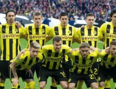 海登海姆 VS 多特蒙德