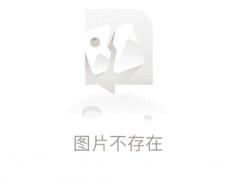 西甲：阿拉维斯VS瓦伦西亚