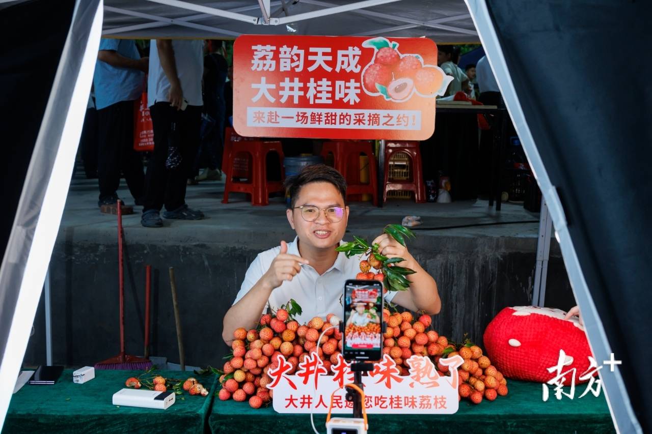 大井镇木广垌村:村党组织领办合作社成荔农“主心骨”,年产值超亿元|百村蝶变记