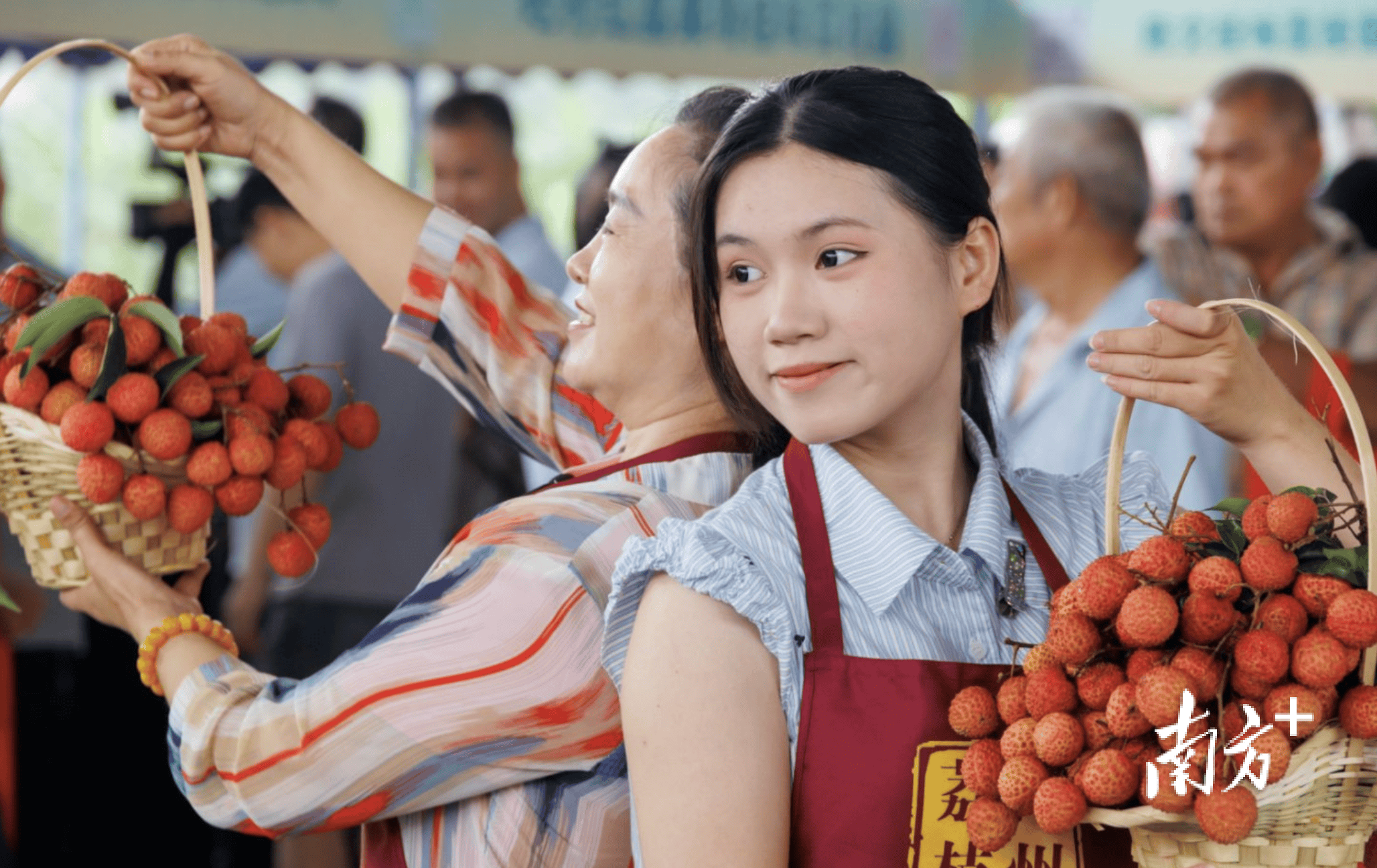 大井镇木广垌村:村党组织领办合作社成荔农“主心骨”,年产值超亿元|百村蝶变记