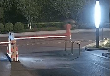 去年是红裙子，今年是黑裙子，又是她！