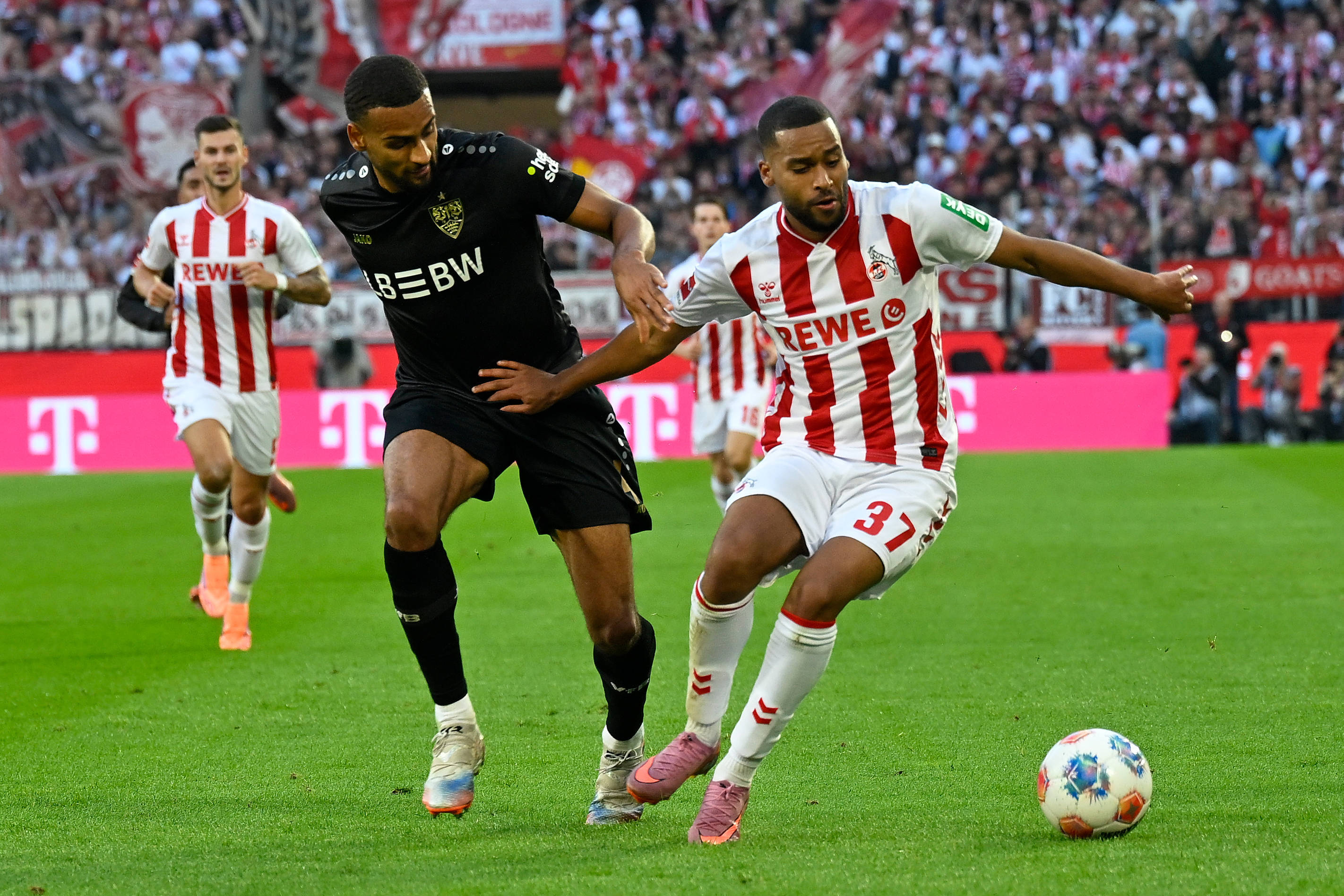 （体育）足球——德甲：斯图加特胜科隆