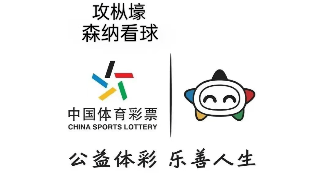 纽卡斯尔 VS 富勒姆